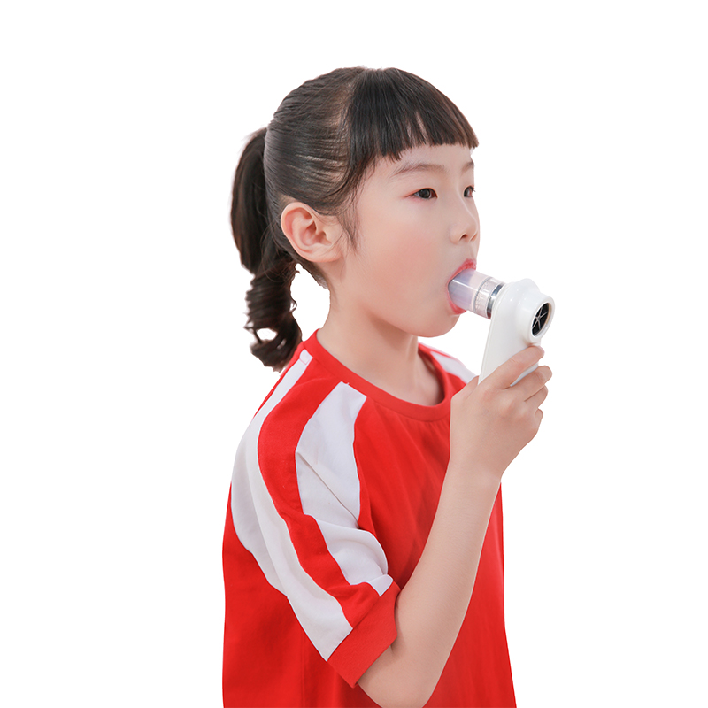 Peak Flow Meter (Digital)Taian Dalu Medical Instrument Co., Ltd.